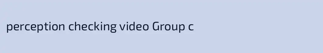 perception checking video Group c